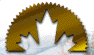 csi1.gif (33440 bytes)