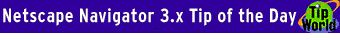 tip_navigator.gif (2483 bytes)